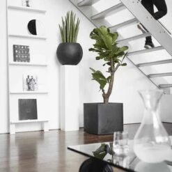 Capi Europe - Bloempot Vierkant Smooth NL - 50x50x50 - Zwart - Voor Binnen En Buiten - KBL904 -Tuinverzorgings Winkel 1200x1200 1009