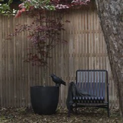 Capi Europe - Bloempot Bol Smooth NL - 54x52 - Zwart - Voor Binnen En Buiten - KBL935 -Tuinverzorgings Winkel 1200x1200 1019