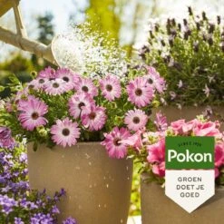 Pokon Terras & Balkonplanten Voeding - 1l - Plantenvoeding - 20ml Per 1L Water -Tuinverzorgings Winkel 1200x1200 102