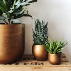 Capi Europe - Bloempot Bol Retro - 23x21 - Goud - Bloempot Voor Binnen - BRTG134 -Tuinverzorgings Winkel 1200x1200 1032