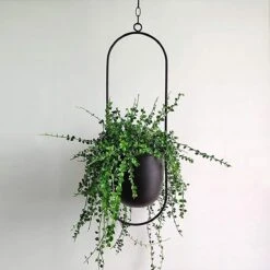 Be-Inspired® Hangende Bloempot Ovaal - Bloempot Binnen - Voor Hangplant – Plant Bloem Pot Met Opknoping – Plantenhanger - Plantenbak - Industrieel – Scandinavisch - Metaal - Zwart 11 Be-Inspired® Hangende Bloempot Ovaal - Bloempot Binnen - Voor Hangplant – Plant Bloem Pot Met Opknoping – Plantenhanger - Plantenbak - Industrieel – Scandinavisch - Metaal - Zwart -Tuinverzorgings Winkel 1200x1200 1036