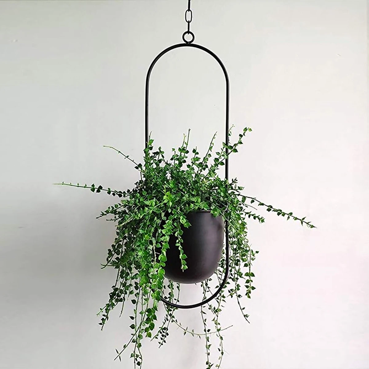 Be-Inspired® Hangende Bloempot Ovaal - Bloempot Binnen - Voor Hangplant – Plant Bloem Pot Met Opknoping – Plantenhanger - Plantenbak - Industrieel – Scandinavisch - Metaal - Zwart 5 Be-Inspired® Hangende Bloempot Ovaal - Bloempot Binnen - Voor Hangplant – Plant Bloem Pot Met Opknoping – Plantenhanger - Plantenbak - Industrieel – Scandinavisch - Metaal - Zwart - Afbeelding 3