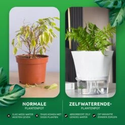 SKYARD® 3 Stuks Zelfwaterende Bloempot Maat M – Milieuvriendelijk Watergeefsysteem Kamerplanten – Zelfwatergevende Pot – Bloempot Met Waterreservoir – Selfwatering Pot – Wit -Tuinverzorgings Winkel 1200x1200 1067