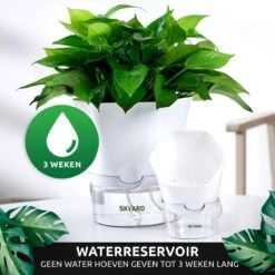 SKYARD® 3 Stuks Zelfwaterende Bloempot Maat M – Milieuvriendelijk Watergeefsysteem Kamerplanten – Zelfwatergevende Pot – Bloempot Met Waterreservoir – Selfwatering Pot – Wit -Tuinverzorgings Winkel 1200x1200 1071