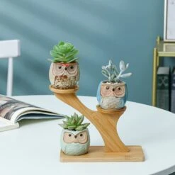 Luxe Bamboe Houten Boom Met 3 Keramiek Uil Bloempotten/Plantenpotten Op Standaard/Voet Voor Binnen En Buiten - Modern Design Bloempot/Plantenpot Op Poten/Pootjes-Plantenbak Mini Cactus Nep Plant Pot Houder - Kleine Bloembakken Plantenrek/Plantenkurk -Tuinverzorgings Winkel 1200x1200 1085