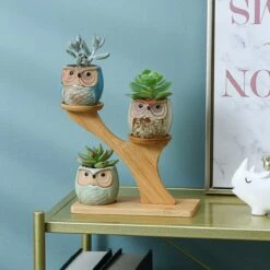 Luxe Bamboe Houten Boom Met 3 Keramiek Uil Bloempotten/Plantenpotten Op Standaard/Voet Voor Binnen En Buiten - Modern Design Bloempot/Plantenpot Op Poten/Pootjes-Plantenbak Mini Cactus Nep Plant Pot Houder - Kleine Bloembakken Plantenrek/Plantenkurk -Tuinverzorgings Winkel 1200x1200 1086