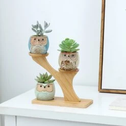 Luxe Bamboe Houten Boom Met 3 Keramiek Uil Bloempotten/Plantenpotten Op Standaard/Voet Voor Binnen En Buiten - Modern Design Bloempot/Plantenpot Op Poten/Pootjes-Plantenbak Mini Cactus Nep Plant Pot Houder - Kleine Bloembakken Plantenrek/Plantenkurk -Tuinverzorgings Winkel 1200x1200 1087