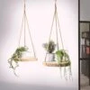 Merkloos Plantenhanger Boomstam Schijf | 30-35cm | Handgemaakt | Planten-houder / Hang-plant | Planten Accessoires | Decoratie Houten Hang Plank | -Tuinverzorgings Winkel 1200x1200 1099