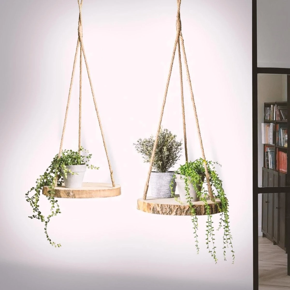 Merkloos Plantenhanger Boomstam Schijf | 30-35cm | Handgemaakt | Planten-houder / Hang-plant | Planten Accessoires | Decoratie Houten Hang Plank | 3 Merkloos Plantenhanger Boomstam Schijf | 30-35cm | Handgemaakt | Planten-houder / Hang-plant | Planten Accessoires | Decoratie Houten Hang Plank |