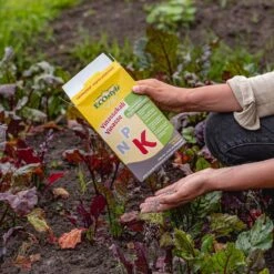 ECOStyle Vinassekali Organische Meststof - Vuor Kaliumtekort - Voor Moestuin, Siertuin En Fruit - Hoger Weerstand Tegen Droogte & Vorst - 15M² - 800 GR 15 ECOStyle Vinassekali Organische Meststof - Vuor Kaliumtekort - Voor Moestuin, Siertuin En Fruit - Hoger Weerstand Tegen Droogte & Vorst - 15M² - 800 GR -Tuinverzorgings Winkel 1200x1200 110