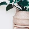 Plantenmand 35x35cm Naturel Extra Groot | Multifunctionele Mand | Handgemaakt | Planten-houder | Planten Accessoires | Planten Mand -Tuinverzorgings Winkel 1200x1200 1104