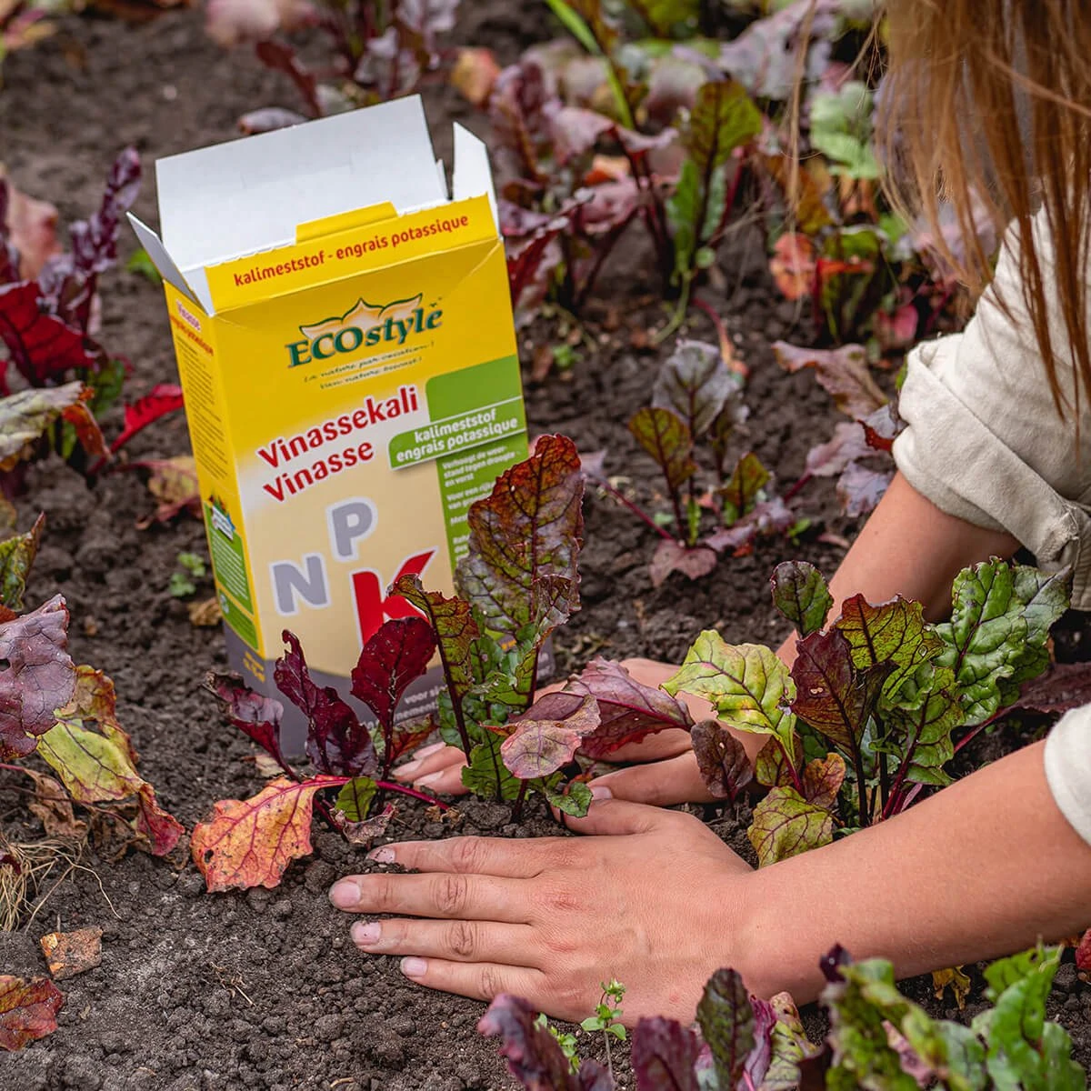 ECOStyle Vinassekali Organische Meststof - Vuor Kaliumtekort - Voor Moestuin, Siertuin En Fruit - Hoger Weerstand Tegen Droogte & Vorst - 15M² - 800 GR 7 ECOStyle Vinassekali Organische Meststof - Vuor Kaliumtekort - Voor Moestuin, Siertuin En Fruit - Hoger Weerstand Tegen Droogte & Vorst - 15M² - 800 GR - Afbeelding 5