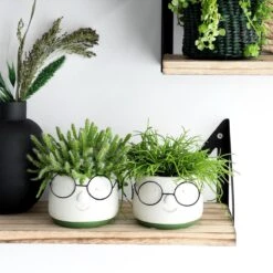 2x Bloempot Met Gezicht - Ø8 X H6,5 Cm - Bloempotten Voor Binnen Met Bril/Face/Hoofd -Tuinverzorgings Winkel 1200x1200 1118