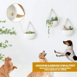 Plantenhanger Keramiek – Set Van 3 – Wit Steen- Hangpot – Hangende Bloempot Plantenpot - 3 Verschillende Koorden - 18 X 11 X 7 Cm 12 Plantenhanger Keramiek – Set Van 3 – Wit Steen- Hangpot – Hangende Bloempot Plantenpot - 3 Verschillende Koorden - 18 X 11 X 7 Cm -Tuinverzorgings Winkel 1200x1200 1119