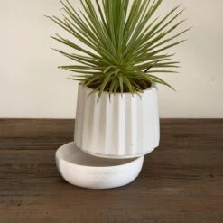 Riviera Maison Plantenbak Rond, Bloempot Met Ribbel - RM Let It Grow Planter - Wit - Porselein - Maat S -Tuinverzorgings Winkel 1200x1200 1133