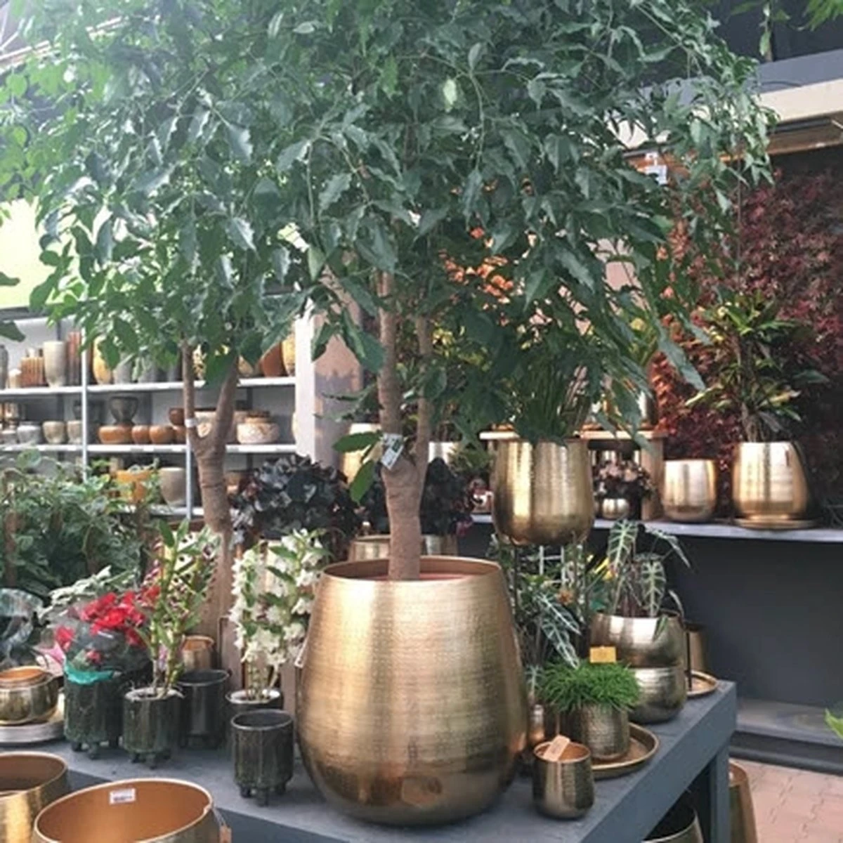 Merkloos Bloempot Karakter Goud - L 8 Merkloos Bloempot Karakter Goud - L - Afbeelding 6