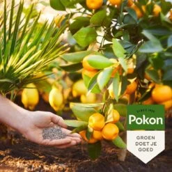 Pokon Mediterrane Planten Mest - 1kg - Meststof - 3-in-1 Werking -Tuinverzorgings Winkel 1200x1200 124