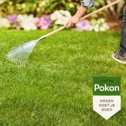 Pokon Gazonmest Met Kalk - 2 X 5kg - Mest - Geschikt Voor 2 X 75m² - 120 Dagen Voeding - Voordeelverpakking -Tuinverzorgings Winkel 1200x1200 128