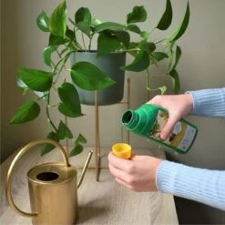 Pokon Kamerplanten Voeding - 500ml - Plantenvoeding - 20ml Per 1L Water 13 Pokon Kamerplanten Voeding - 500ml - Plantenvoeding - 20ml Per 1L Water -Tuinverzorgings Winkel 1200x1200 132