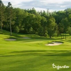 Kalk Korrel Meststof Verrijkt Met Magnesium (20Kg - Voor 400m2) Voor Dieper Bladgroen (+PH) Speciaal Voor Gazon, Perken, Moestuin En Openbaar Groen - Organifer -Tuinverzorgings Winkel 1200x1200 138