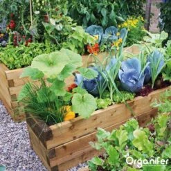 Kalk Korrel Meststof Verrijkt Met Magnesium (20Kg - Voor 400m2) Voor Dieper Bladgroen (+PH) Speciaal Voor Gazon, Perken, Moestuin En Openbaar Groen - Organifer -Tuinverzorgings Winkel 1200x1200 147