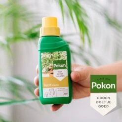 Pokon Palm Voeding - 250ml - Plantenvoeding - 10ml Per 1L Water -Tuinverzorgings Winkel 1200x1200 152