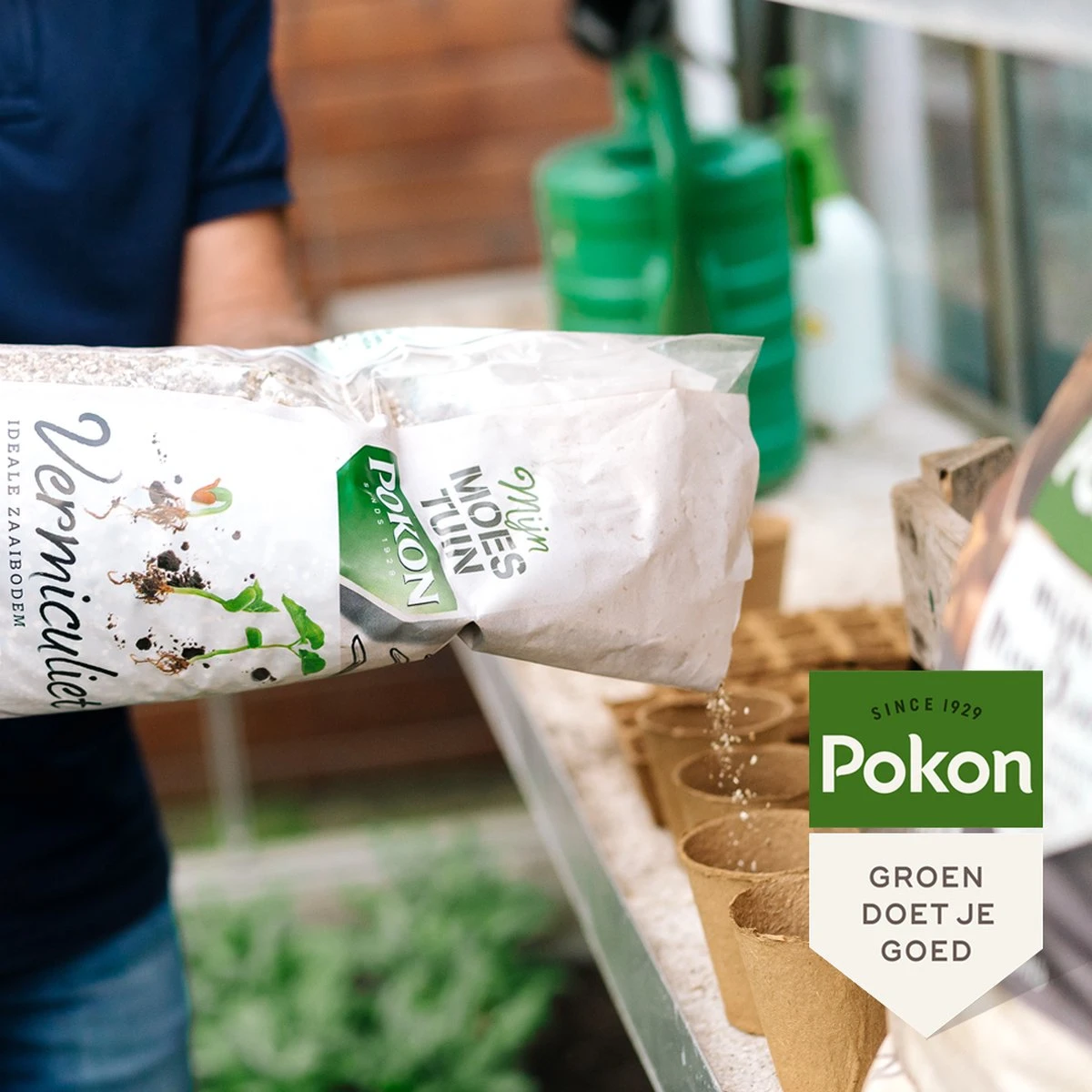 Pokon Bio Vermiculiet - 6l - 100% Natuurlijk - Ideale Zaaibodem 6 Pokon Bio Vermiculiet - 6l - 100% Natuurlijk - Ideale Zaaibodem - Afbeelding 4
