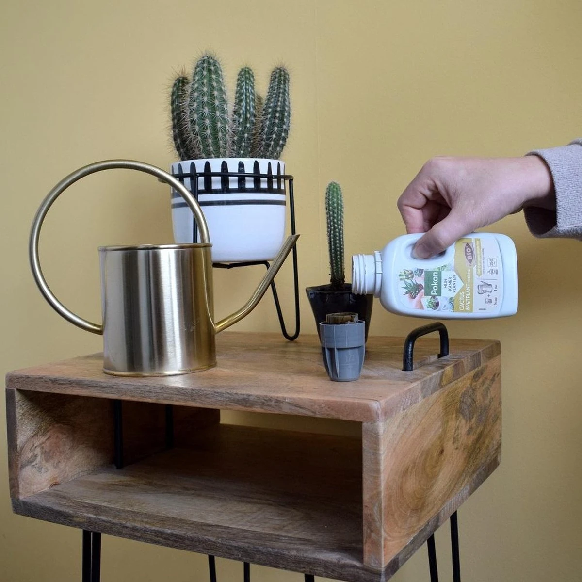 Pokon Bio Cactus & Vetplant Voeding - 250ml - Plantenvoeding (bio) - 7ml Per 1L Water 8 Pokon Bio Cactus & Vetplant Voeding - 250ml - Plantenvoeding (bio) - 7ml Per 1L Water - Afbeelding 6