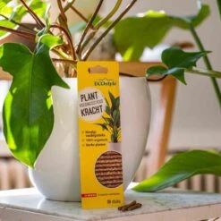 ECOstyle PlantKracht Voedingssticks - Sterke En Weerbare Potplanten - 100% Organische Planten - 120 Dagen Voeding - 30 Stuks -Tuinverzorgings Winkel 1200x1200 160