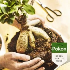 Pokon Bonsai Voeding - 250ml - Plantenvoeding - 10ml Per 1L Water -Tuinverzorgings Winkel 1200x1200 175