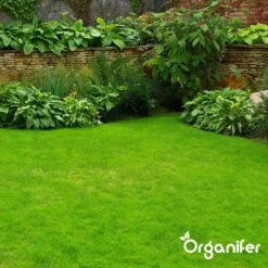 IJzersulfaat Meststof – Mos Verwijderaar – 5kg -Voor 250m2 (organifer) -Tuinverzorgings Winkel 1200x1200 18