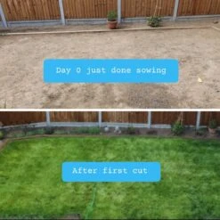 Snelwerkende Gazonmest Voor 100m² Gras | Meststof Voor Lente En Zomer | Ideaal Voor Meststofstrooier | Gazonbemesting 22 Snelwerkende Gazonmest Voor 100m² Gras | Meststof Voor Lente En Zomer | Ideaal Voor Meststofstrooier | Gazonbemesting -Tuinverzorgings Winkel 1200x1200 186