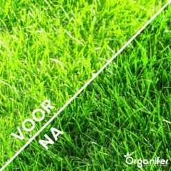 Gazonmest All-In-One (20Kg - Voor 400m2) Voor Een Diepgroen Sterk Gazon Zonder Mos En Onkruid - Complete Meststof Met Kalk En Grasversterker - Organifer -Tuinverzorgings Winkel 1200x1200 191