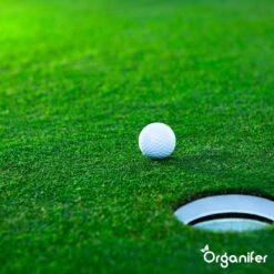 Gazonmest All-In-One (20Kg - Voor 400m2) Voor Een Diepgroen Sterk Gazon Zonder Mos En Onkruid - Complete Meststof Met Kalk En Grasversterker - Organifer -Tuinverzorgings Winkel 1200x1200 199