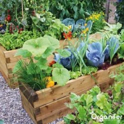 Koemestkorrels 3in1 (20Kg Voor 200m2) Allround Organische Meststof - Direct Opneembare Voeding - Langdurige Werking > 120 Dagen - Geurloos - Verbeterd Bodem - Lavameel Toevoeging - Versterkt Gras En Planten - Organifer 16 Koemestkorrels 3in1 (20Kg Voor 200m2) Allround Organische Meststof - Direct Opneembare Voeding - Langdurige Werking > 120 Dagen - Geurloos - Verbeterd Bodem - Lavameel Toevoeging - Versterkt Gras En Planten - Organifer -Tuinverzorgings Winkel 1200x1200 2