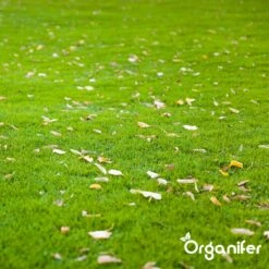 IJzersulfaat Meststof – Mos Verwijderaar – 5kg -Voor 250m2 (organifer) -Tuinverzorgings Winkel 1200x1200 21