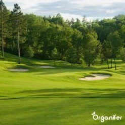 Gazonmest All-In-One (10Kg - Voor 200m2) Voor Een Diepgroen Sterk Gazon Zonder Mos En Onkruid - Complete Meststof Met Kalk En Grasversterker - Organifer 25 Gazonmest All-In-One (10Kg - Voor 200m2) Voor Een Diepgroen Sterk Gazon Zonder Mos En Onkruid - Complete Meststof Met Kalk En Grasversterker - Organifer -Tuinverzorgings Winkel 1200x1200 211