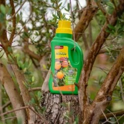 ECOstyle Citrus & Olijf Voeding - Stevige Vrucht - Langdurige Werking - Voor Alle Mediterrane Planten En Bomen 500 ML -Tuinverzorgings Winkel 1200x1200 219