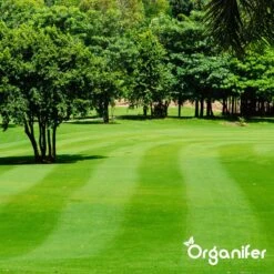 IJzersulfaat Meststof – Mos Verwijderaar – 5kg -Voor 250m2 (organifer) -Tuinverzorgings Winkel 1200x1200 22