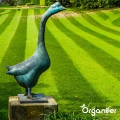 IJzersulfaat Meststof – Mos Verwijderaar – 5kg -Voor 250m2 (organifer) -Tuinverzorgings Winkel 1200x1200 23