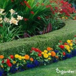 Lavagruis Uit Eifel Oergesteente (20Kg Voor 200m2) Grof Lavameel 0-2mm - Organifer -Tuinverzorgings Winkel 1200x1200 233