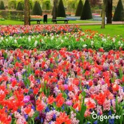 Lavagruis Uit Eifel Oergesteente (20Kg Voor 200m2) Grof Lavameel 0-2mm - Organifer -Tuinverzorgings Winkel 1200x1200 234