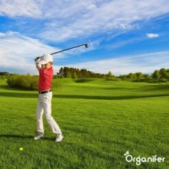 Lavagruis Uit Eifel Oergesteente (20Kg Voor 200m2) Grof Lavameel 0-2mm - Organifer -Tuinverzorgings Winkel 1200x1200 235