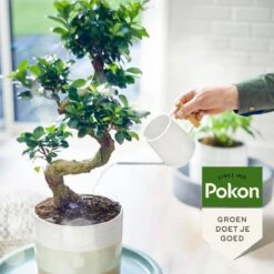 Pokon Bio Bonsai Voeding - 250ml - Plantenvoeding (bio) - 7ml Per 1L Water -Tuinverzorgings Winkel 1200x1200 248