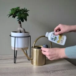 Pokon Bio Bonsai Voeding - 250ml - Plantenvoeding (bio) - 7ml Per 1L Water -Tuinverzorgings Winkel 1200x1200 249