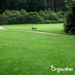 IJzersulfaat Meststof – Mos Verwijderaar – 5kg -Voor 250m2 (organifer) -Tuinverzorgings Winkel 1200x1200 25