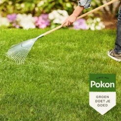 Pokon Gazonmest Met Kalk - 2kg - Mest - Geschikt Voor 30m² - 120 Dagen Voeding -Tuinverzorgings Winkel 1200x1200 260