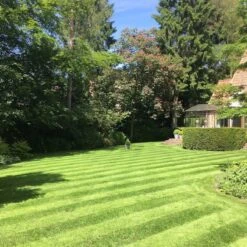 Gazonmest Met Ijzersulfaat Voor 100m²Gras | Gazon Meststof Met Ijzer | Mos Bestrijding & Gras Bemesting In Één | Ideaal Voor Meststofstrooier | Gazonbemesting -Tuinverzorgings Winkel 1200x1200 267