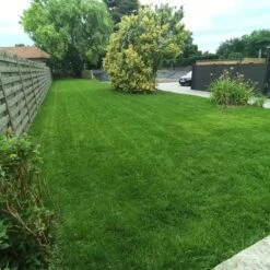 Gazonmest Met Ijzersulfaat Voor 100m²Gras | Gazon Meststof Met Ijzer | Mos Bestrijding & Gras Bemesting In Één | Ideaal Voor Meststofstrooier | Gazonbemesting -Tuinverzorgings Winkel 1200x1200 268