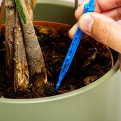 Woonaccessoires- Automatisch Watergeef Systeem | Plantenwaterer - Life Support Irrigatieapparaat | Druppelaar Kamerplanten - | Planten Watergever Met Druppelsysteem 350ml -Tuinverzorgings Winkel 1200x1200 313